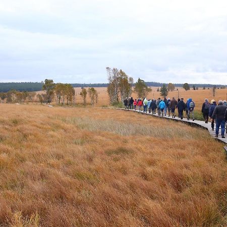 Le Brocard Des Fagnes - 16 Pers Malmedy Villa Eksteriør bilde