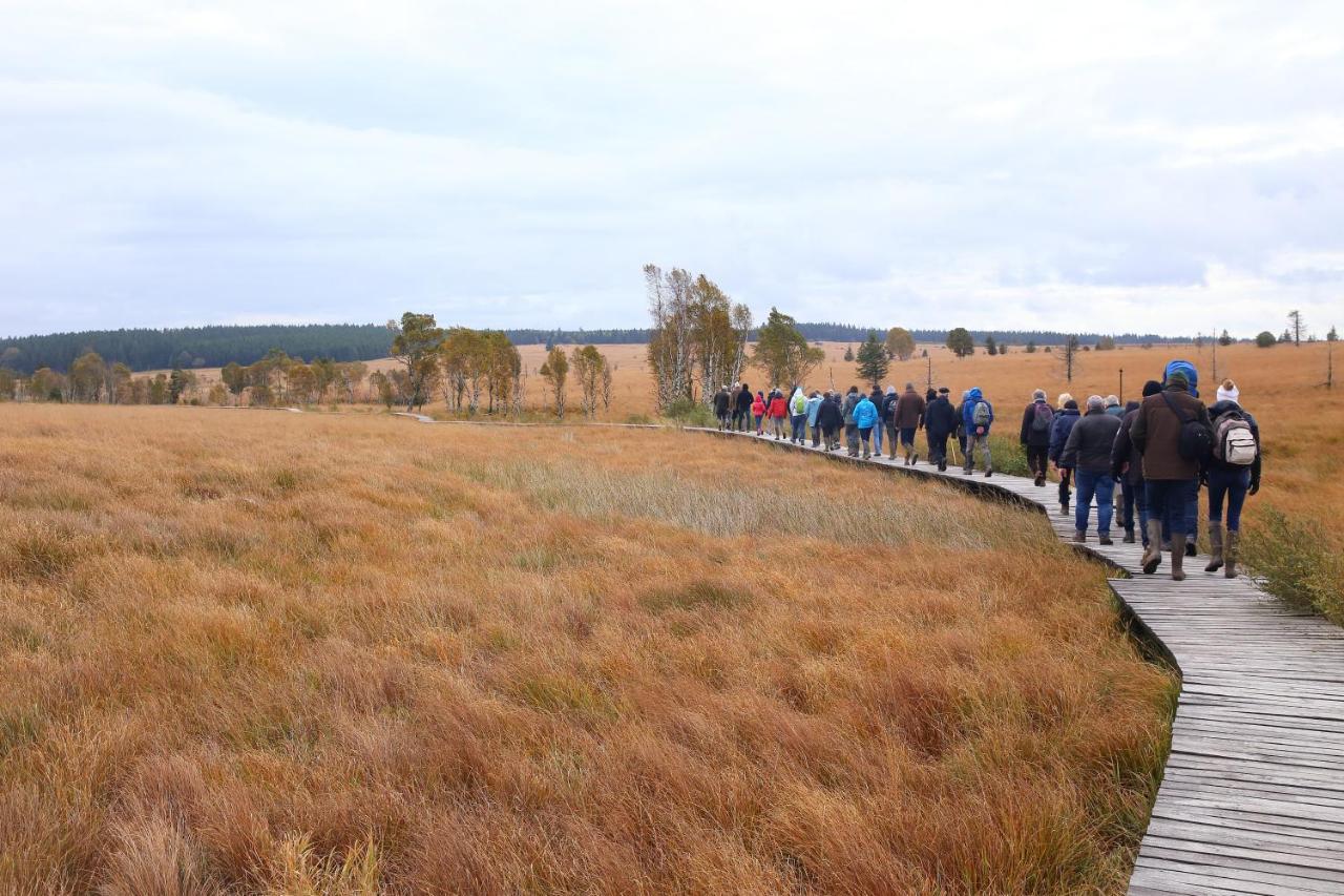 Le Brocard Des Fagnes - 16 Pers Malmedy Villa Eksteriør bilde